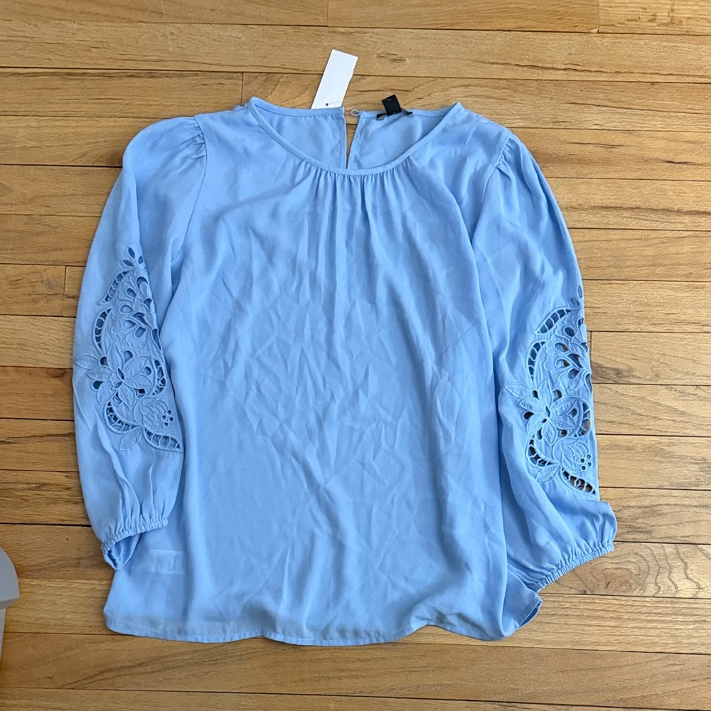Ann Taylor Light Blue Blouse with Lace Sleeves